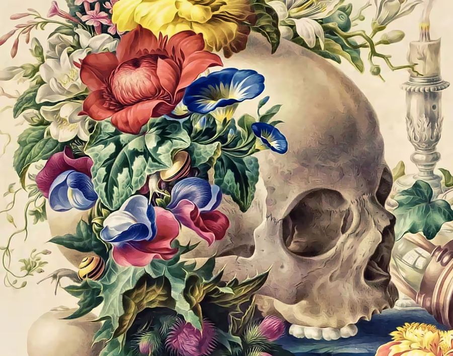 , Skull Colorful Flowers Floral