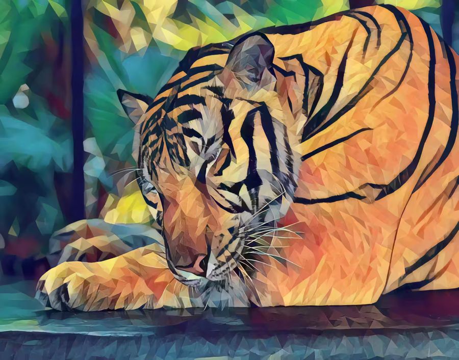 , Sleeping Tiger Year Tiger Colorful
