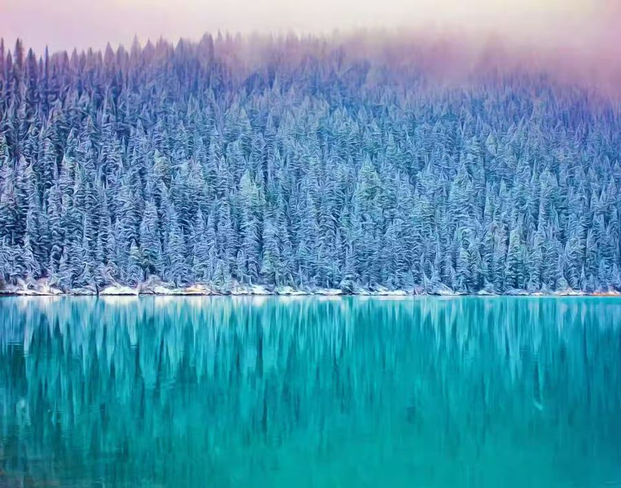 , Snow Covered Woodland w