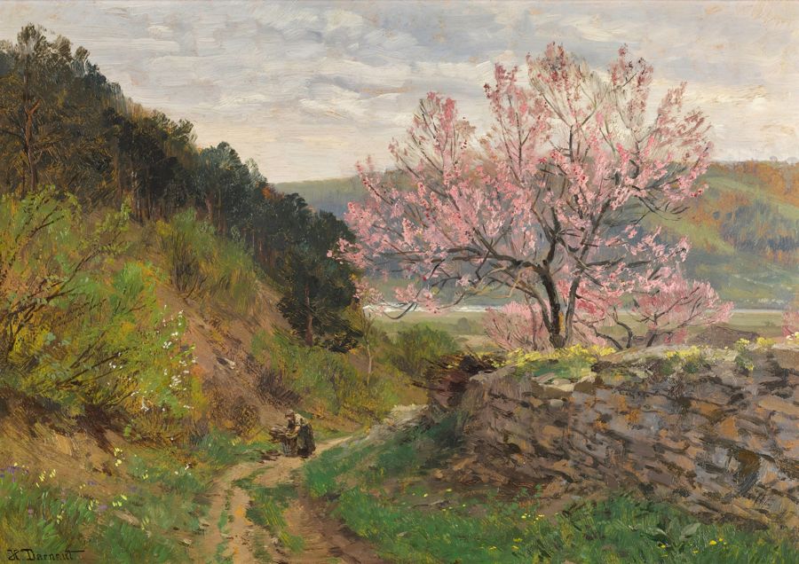 Spring Landscape Almond Blossom Country