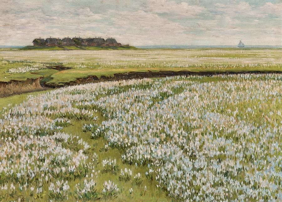, Spring Meadow Landscape