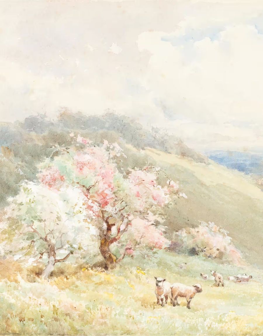 , Spring Meadow w