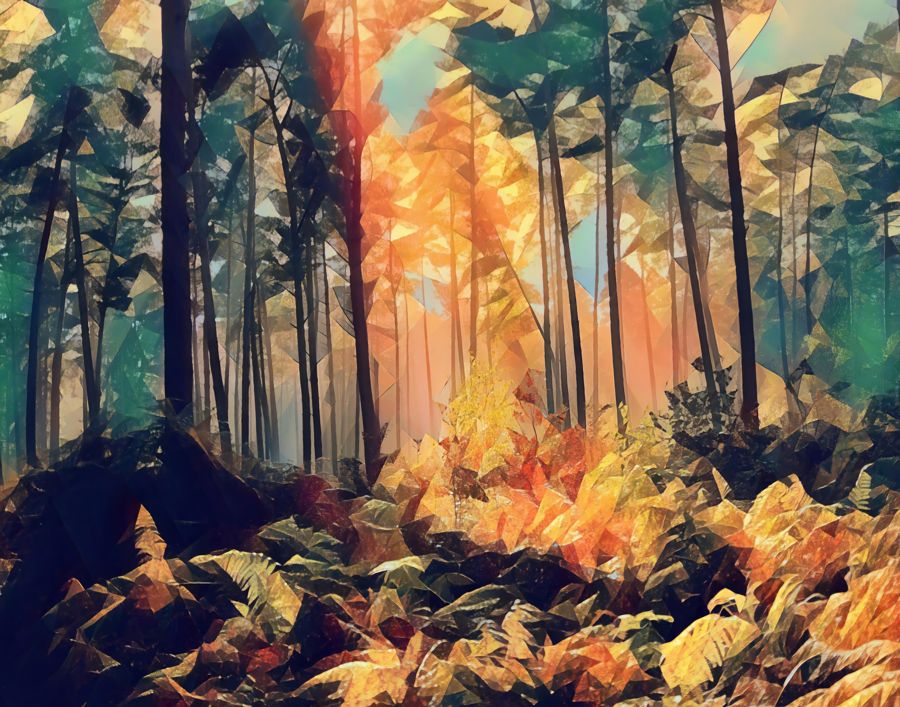 , Sunlight Through Forest Landscape