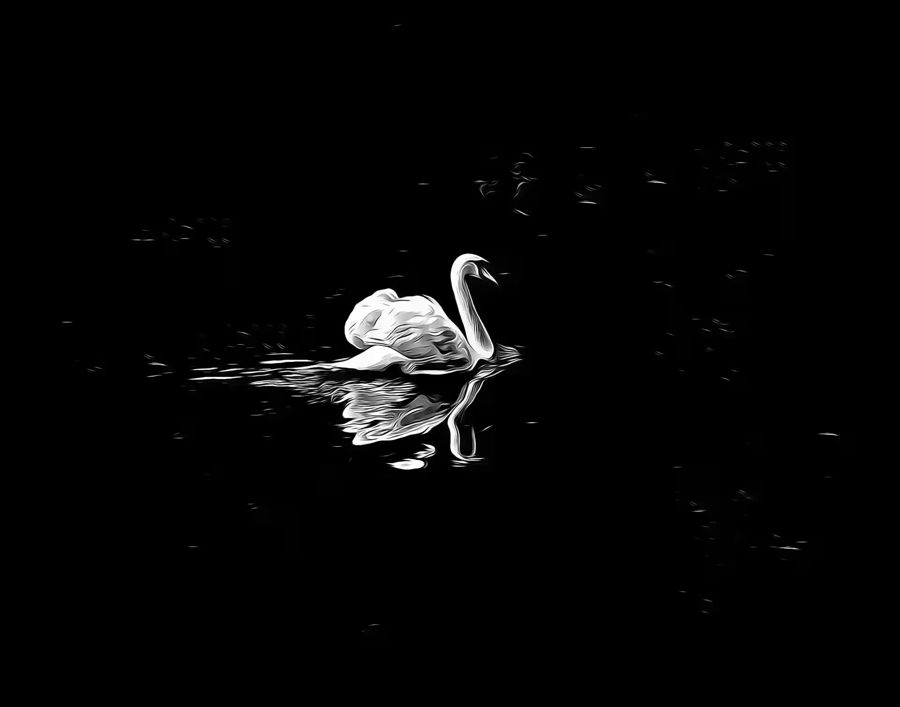, Swan Dark Waters Home Office