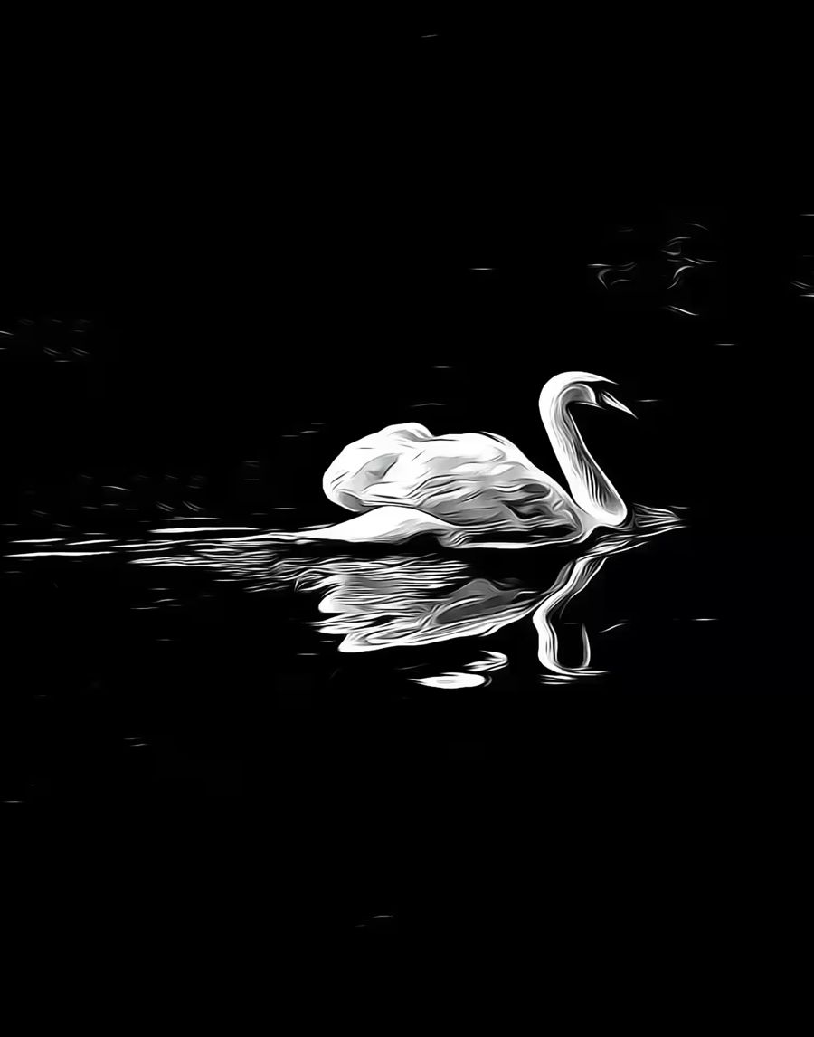 , Swan Dark Waters Vertical Home