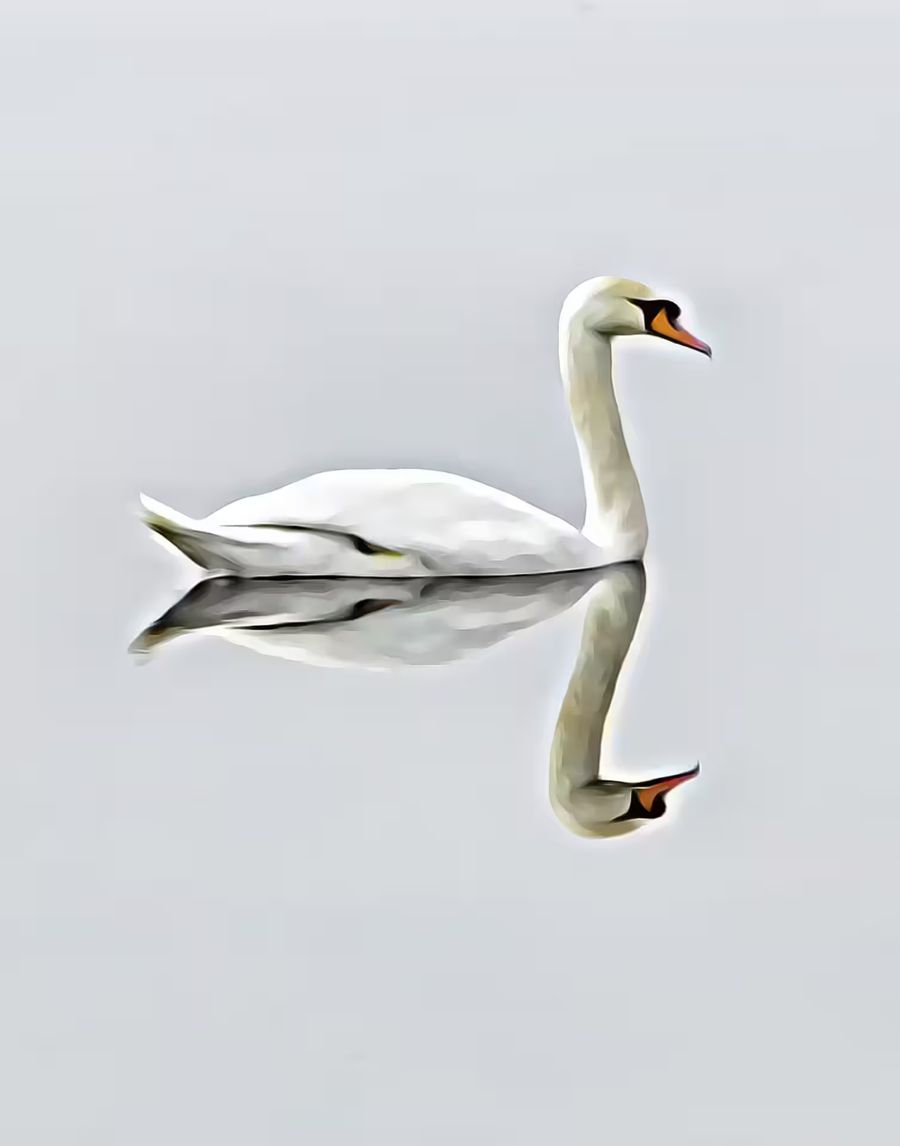 EcoArtLab Originals, Swan Home Office Decor Bird