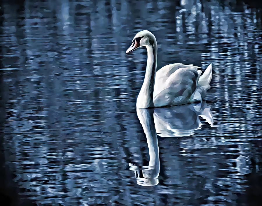 EcoArtLab Originals, Swan Water Home Office Decor