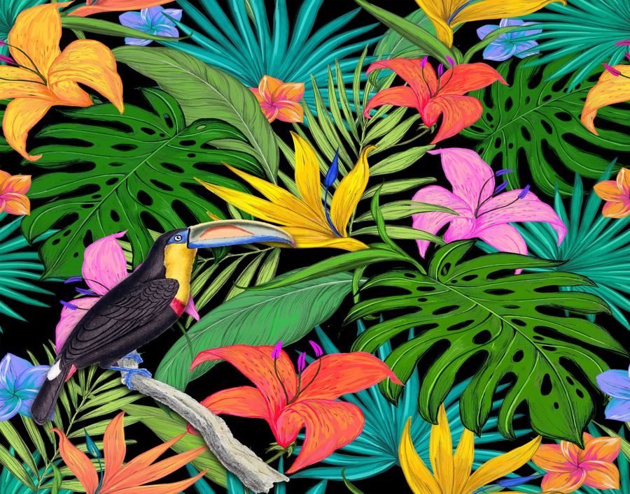 , Toucan Wildlife Nature Botanical