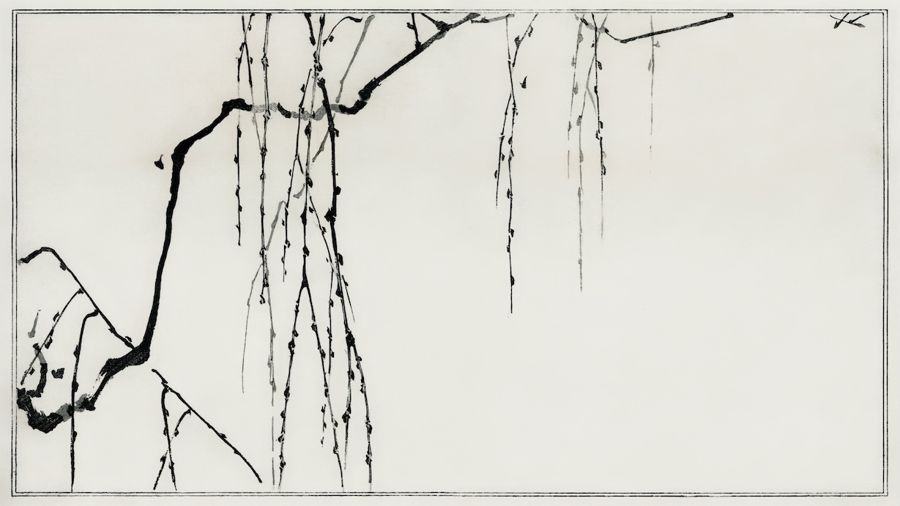 , Tree Branches