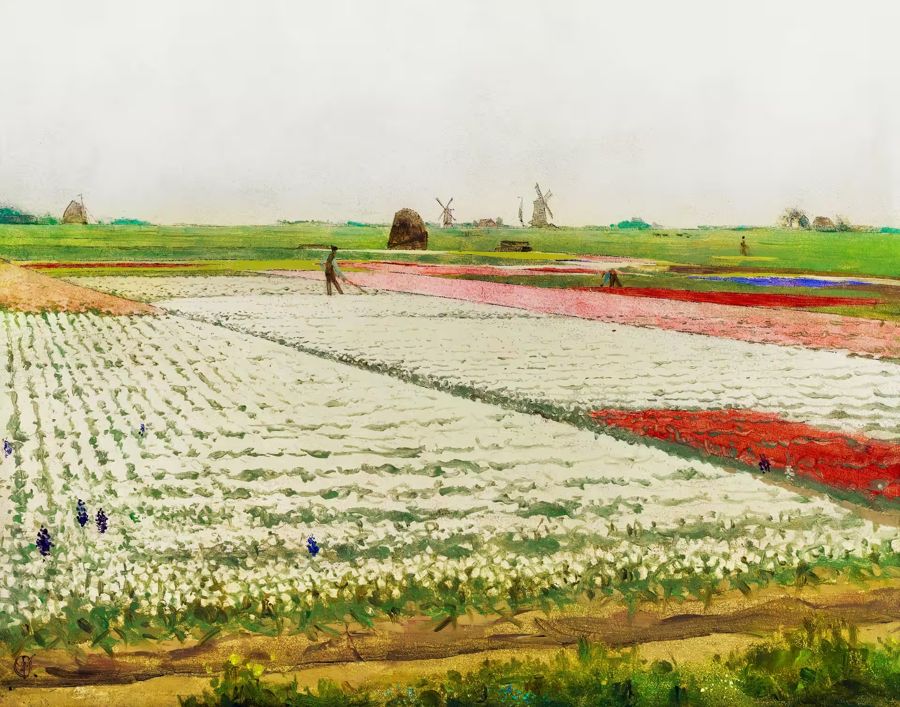 Tulips Flowers Field Oil Decor