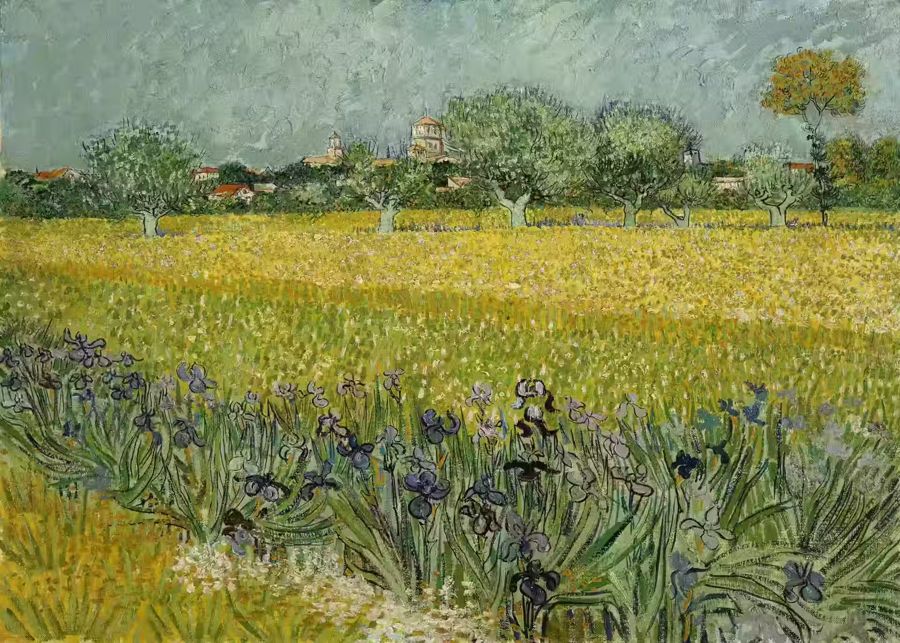 Vincent van Gogh Field Flowers
