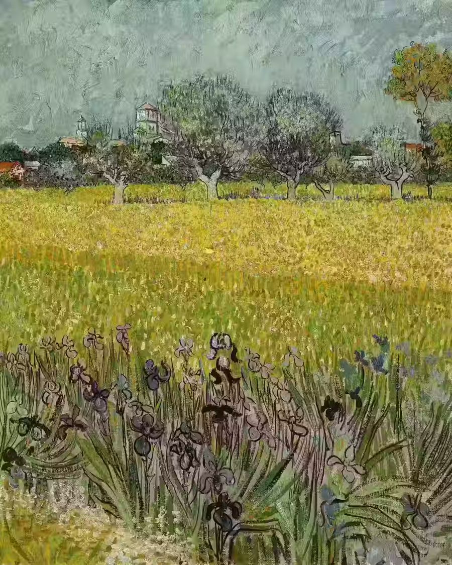 Vincent van Gogh Field Flowers