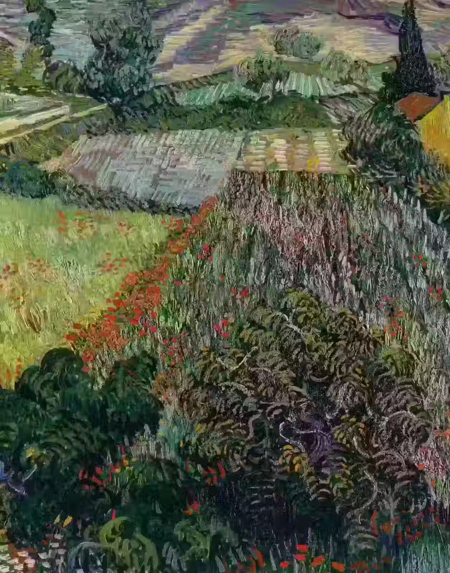 Vincent van Gogh Field Poppies