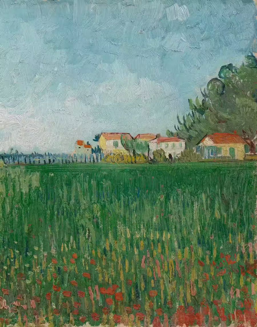 Vincent van Gogh Field Poppies