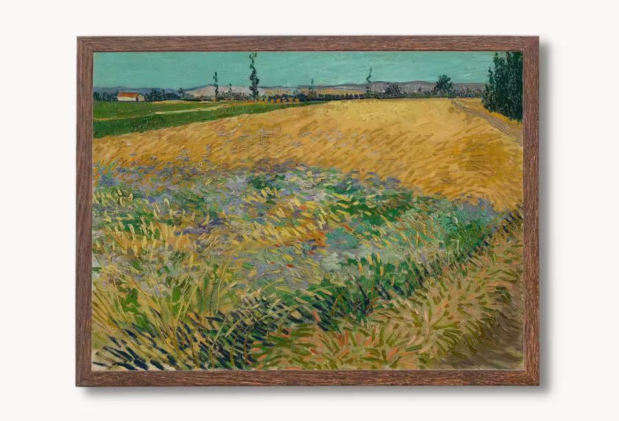 Vincent van Gogh Gallery