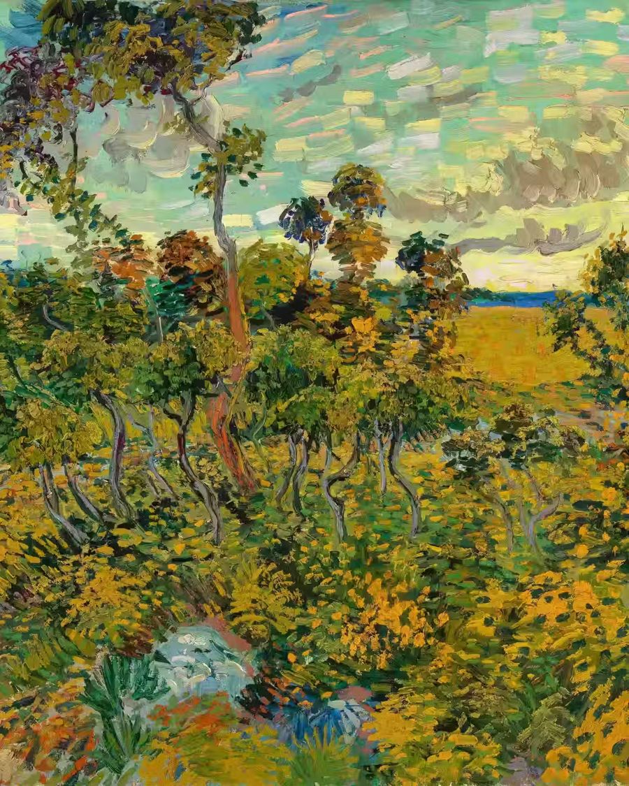 Vincent van Gogh, Vincent van Gogh Gallery