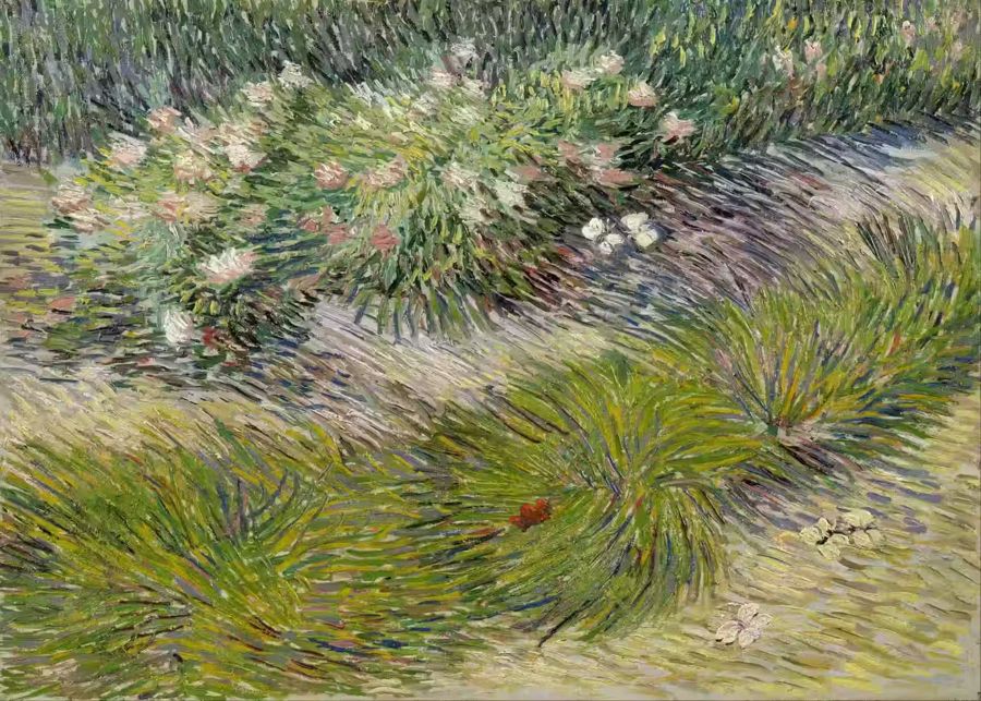 Vincent van Gogh Grass Butterflies
