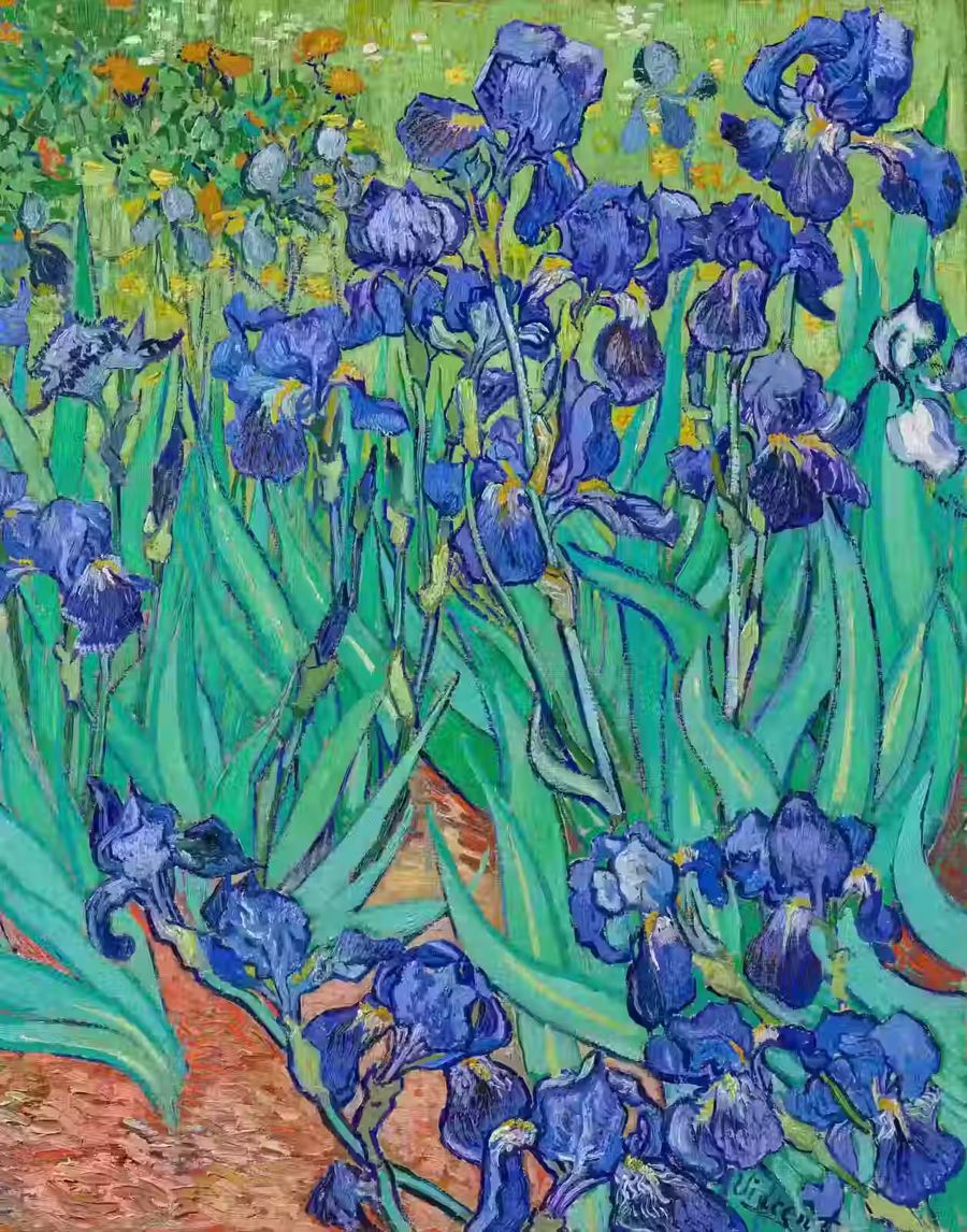 Vincent van Gogh Irises Fine