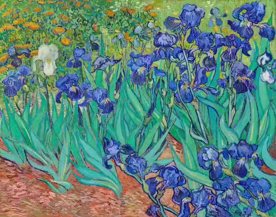 Vincent van Gogh, Vincent van Gogh Irises