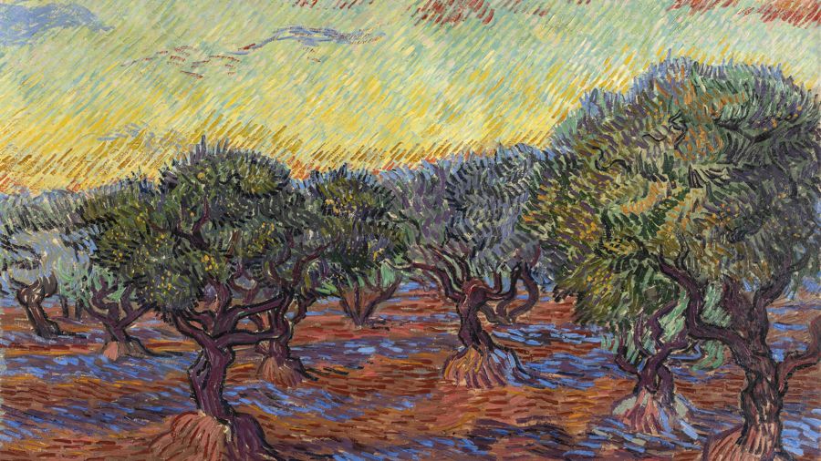 Vincent van Gogh, Olive Grove