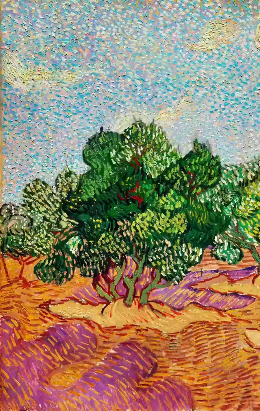 Vincent van Gogh, Vincent van Gogh Olive Trees