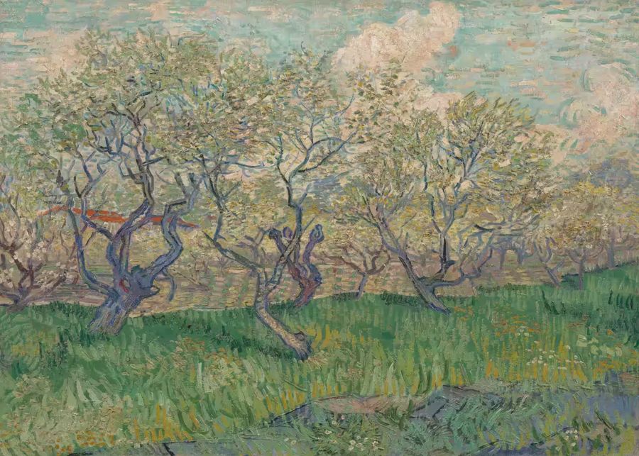Vincent van Gogh Orchard Blossom