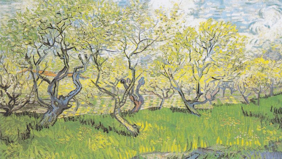 Orchard In Blossom
