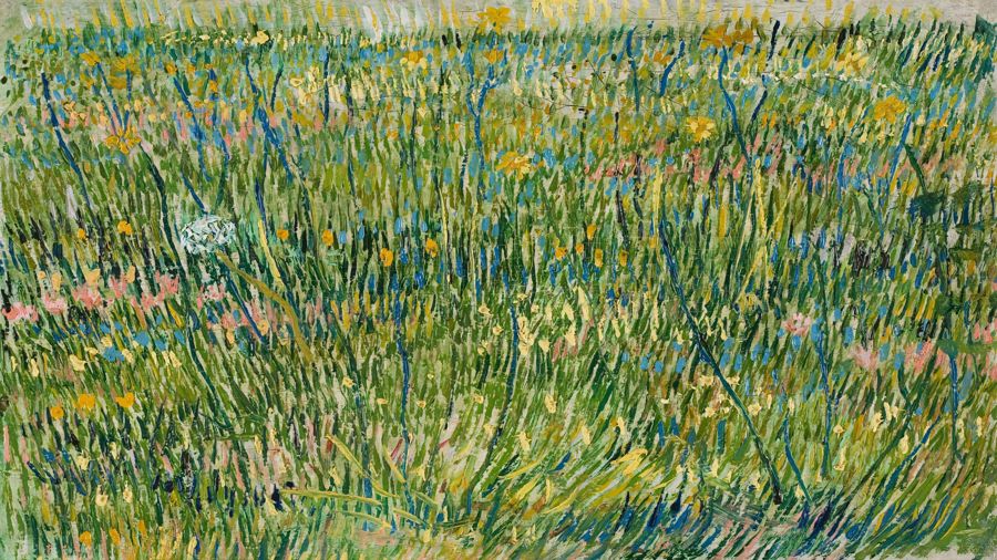 Patch of grass