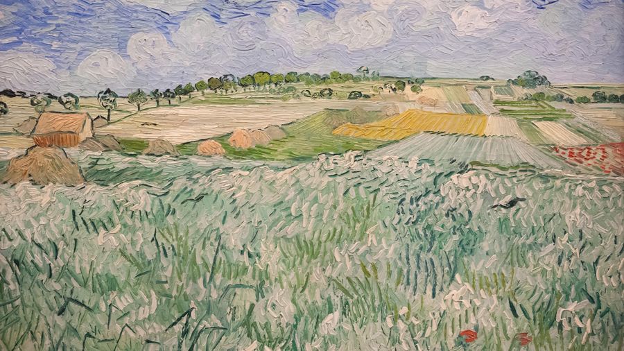Plain near Auvers