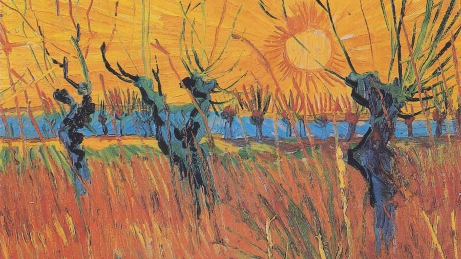 Pollard Willows and Setting Sun