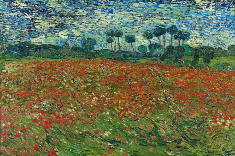 Vincent van Gogh Poppy Field