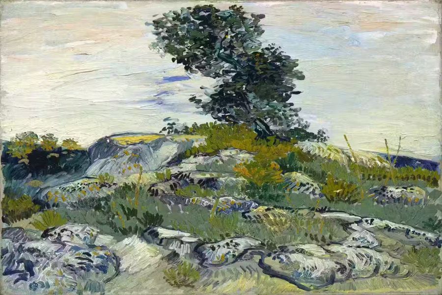 Vincent van Gogh Rocks