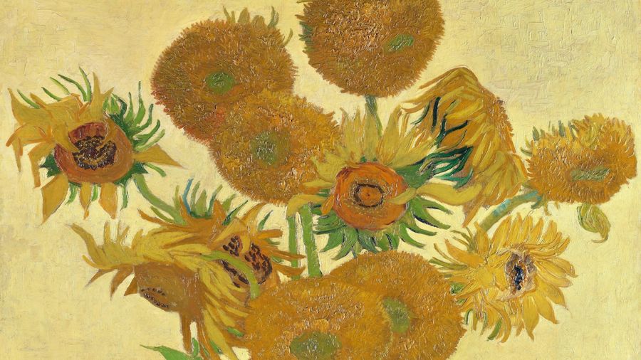 Sunflowers 2
