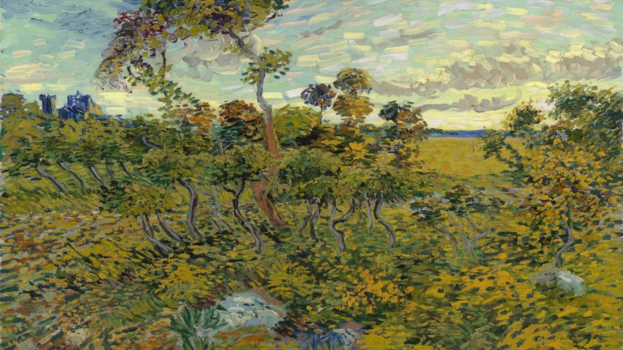 Sunset at Montmajour