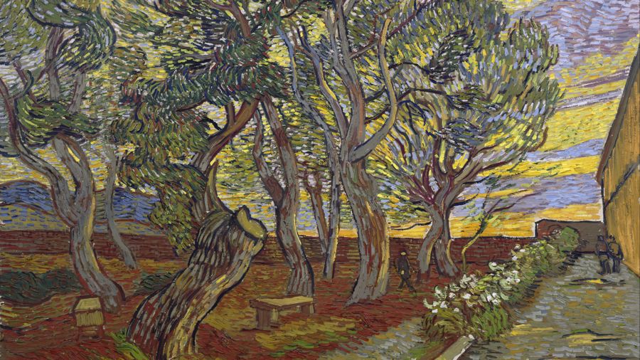 The garden of Saint Paul s Hospital