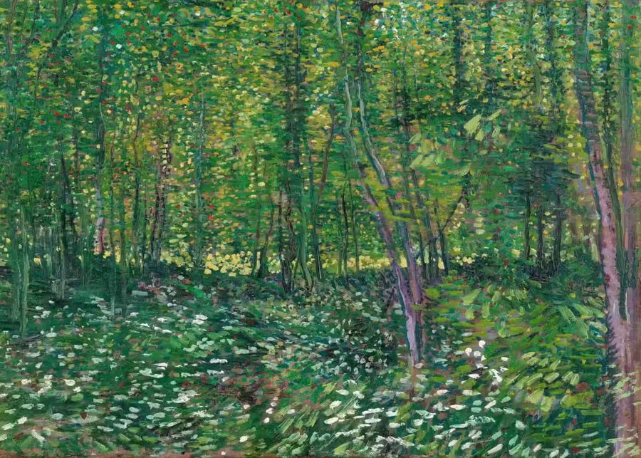 Vincent van Gogh Trees Undergrowth