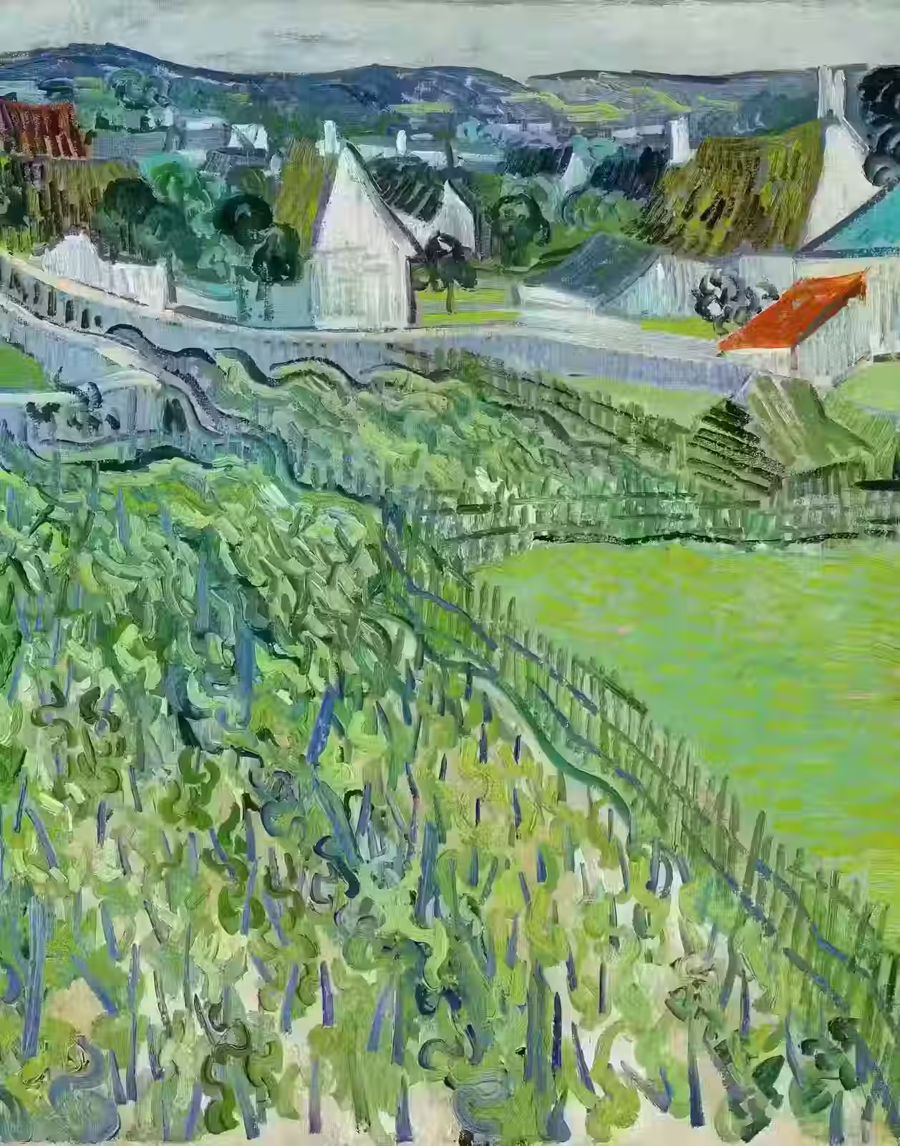 Vincent van Gogh, Vincent van Gogh Vineyards Auvers