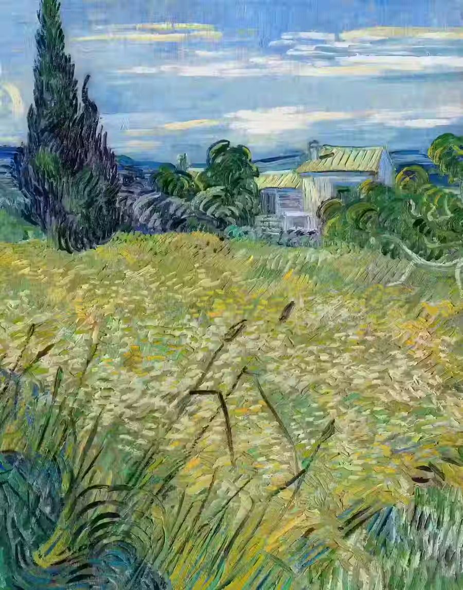Vincent van Gogh Wheat Field Cypress