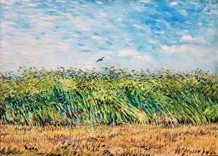 Vincent van Gogh Wheat Field