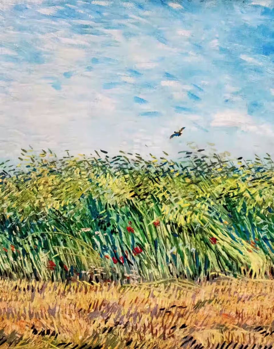 Vincent van Gogh Wheat Field w
