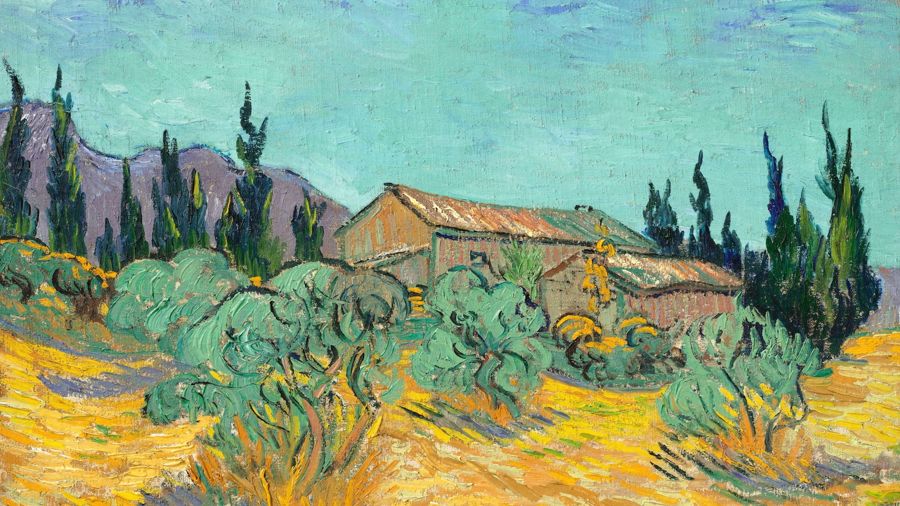 Wooden Sheds among Olive Trees and Cypresses