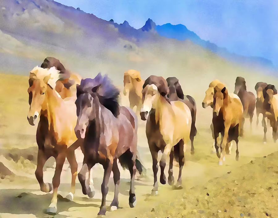 , Wild Horses Galloping Home Office