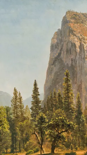 Bridal Veil Falls Yosemite Valley wallpaper