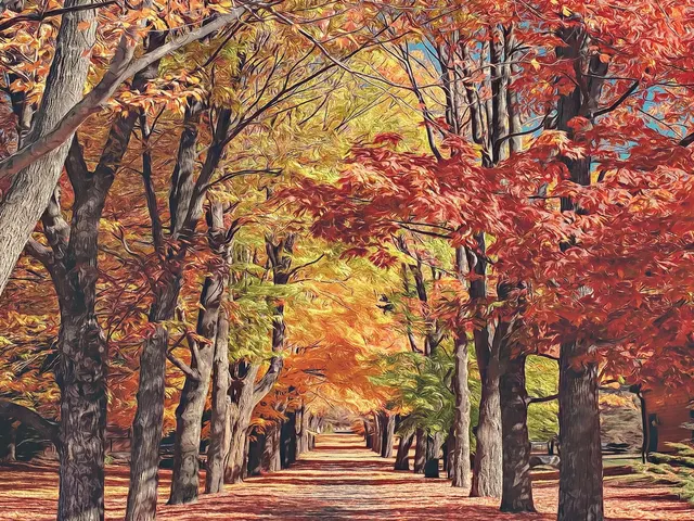 Autumn Park Alley by EcoArtLab, horizontal tablet wallpaper