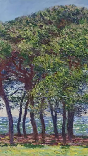 Pine Trees Cap d Antibes wallpaper