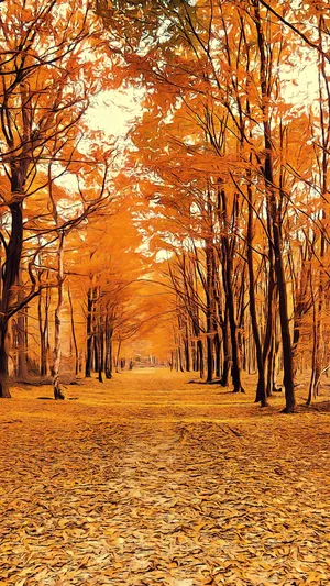 Autumn Forest Scenery Orginal wallpaper