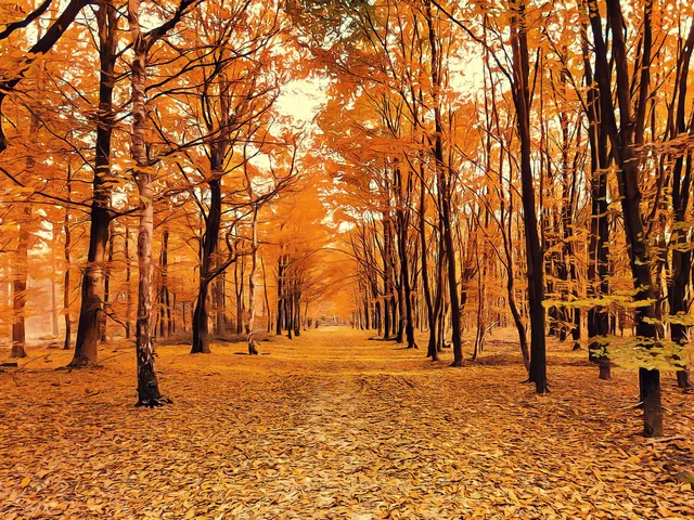 Autumn Forest Scenery Orginal by EcoArtLab, horizontal tablet wallpaper