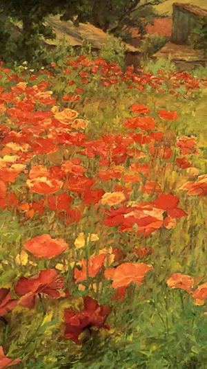 In Poppyland wallpaper