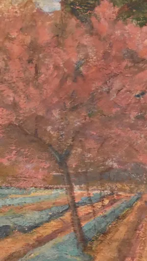 Peach Trees In Bloom wallpaper