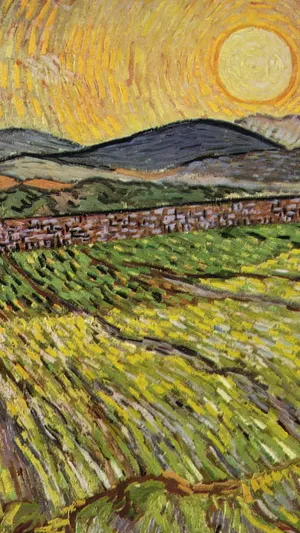 Enclosed Field with Rising Sun wallpaper